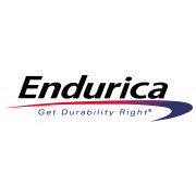 Endurica > Sponsor > Dassault Systèmes®