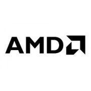 AMD > Sponsor > Dassault Système®