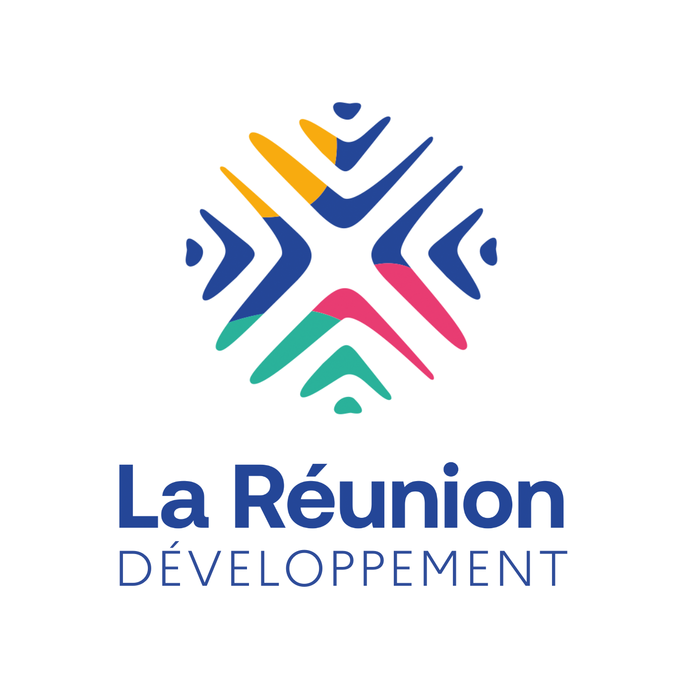 lareuniondeveloppement-bycuf95t.png