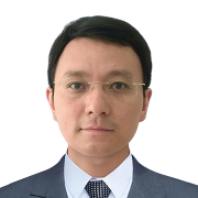 Prof. Jianying WU > Speaker > Dassault Système