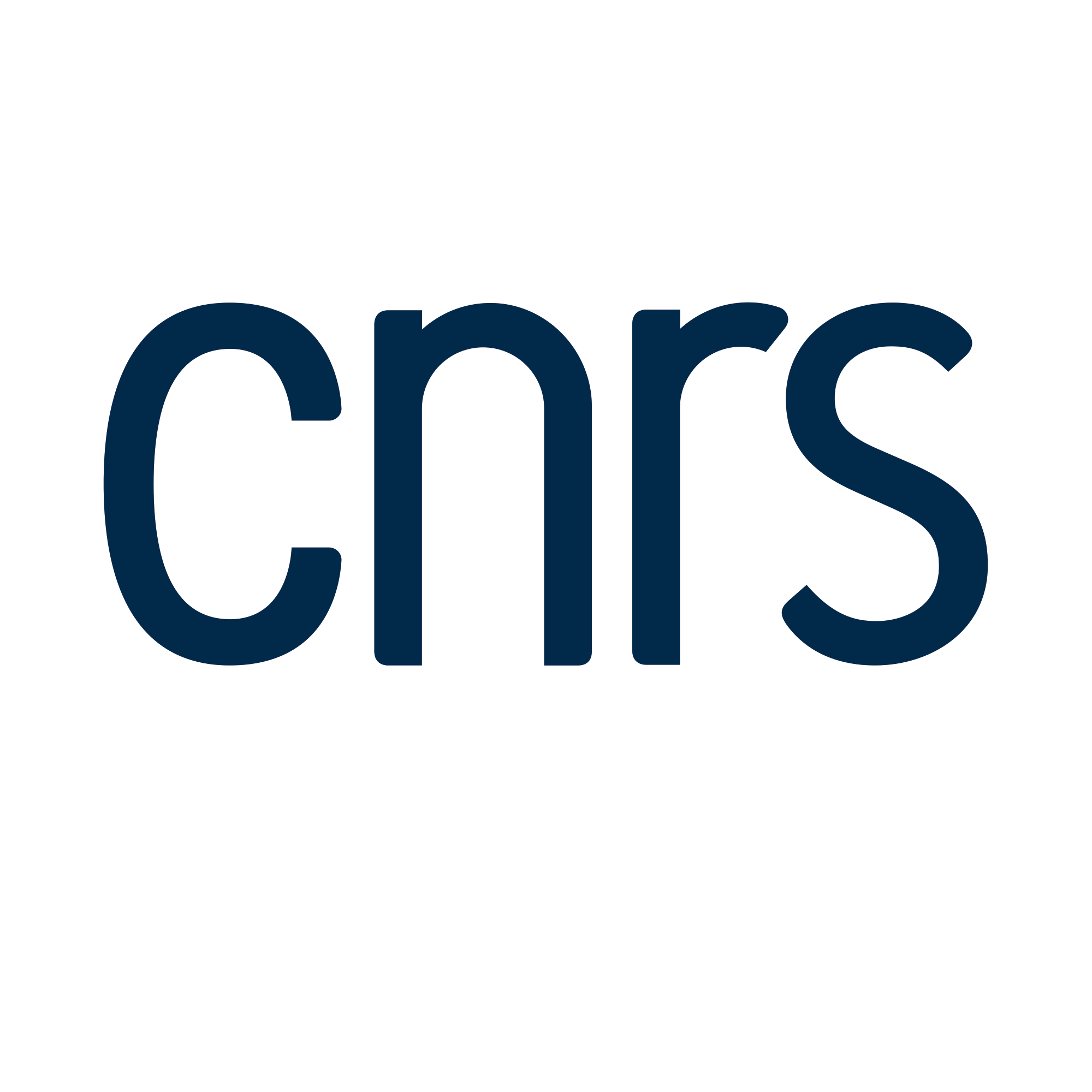 logo-cnrs-blanc-zpvozugb.png